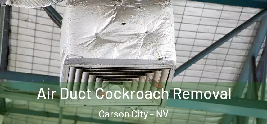 Air Duct Cockroach Removal Carson City - NV