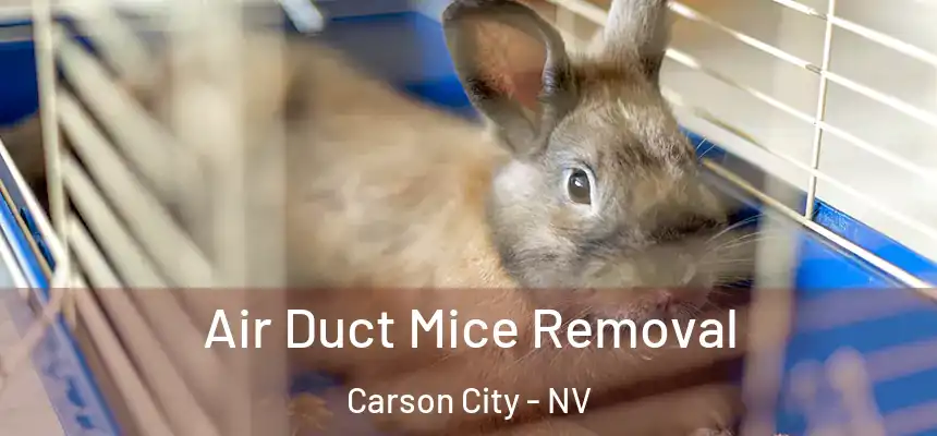 Air Duct Mice Removal Carson City - NV