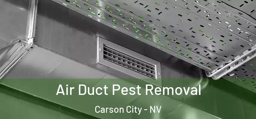 Air Duct Pest Removal Carson City - NV