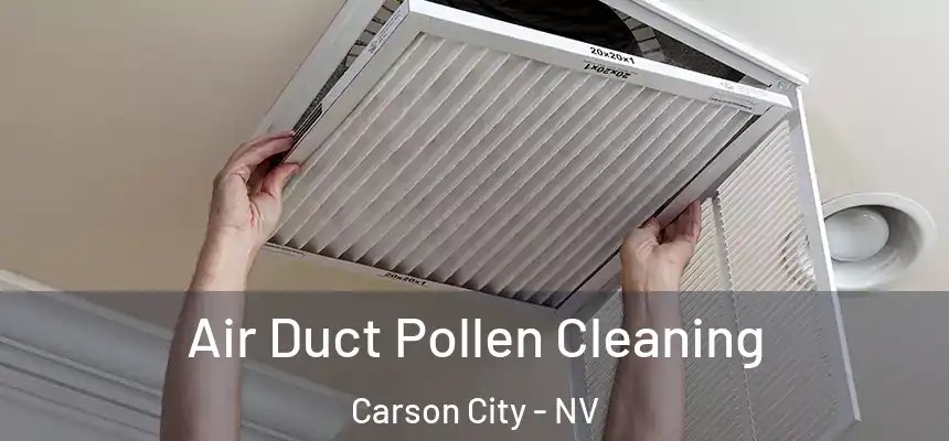  Air Duct Pollen Cleaning Carson City - NV