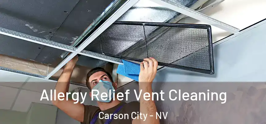 Allergy Relief Vent Cleaning Carson City - NV