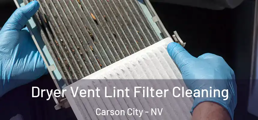  Dryer Vent Lint Filter Cleaning Carson City - NV