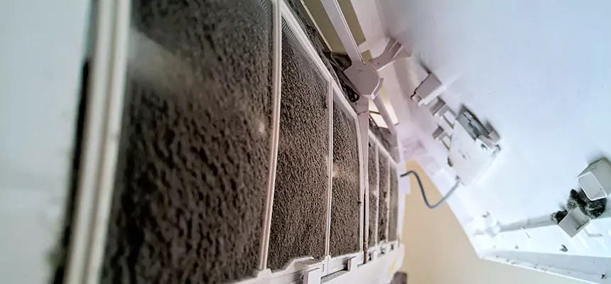 Preventive Air Duct Bacteria Removal in Carson City