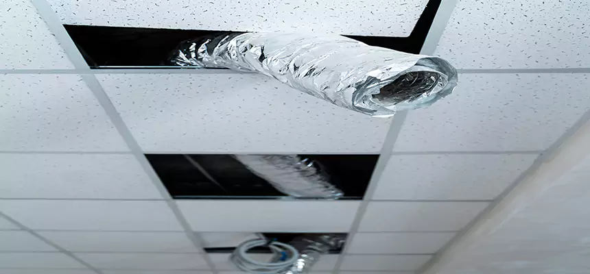 Our Air Duct Pet Hair Removal Services in Carson City, NV