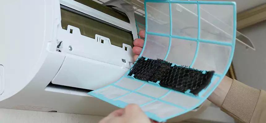 Gentle Ductwork Odor-Control Pet Dander Duct Cleaning in Carson City, NV