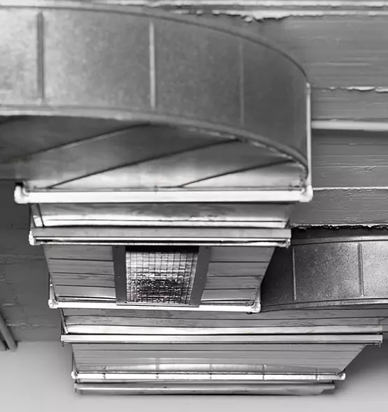 Professional Air Duct Pest Removal in Carson City, NV