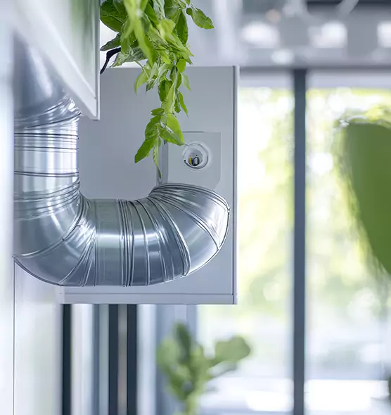 Professional Eco-Safe Dryer Vent Cleaning in Carson City, NV