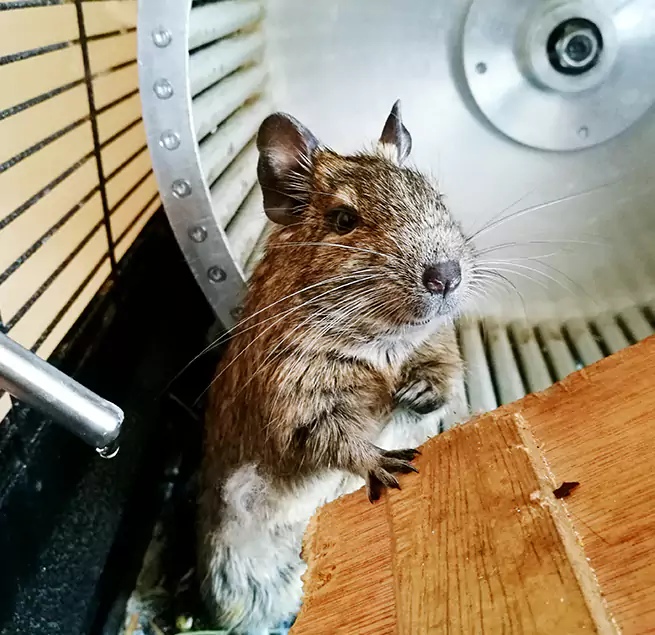 Why Homeowners & Businesses Trust Us Carson City, NV?