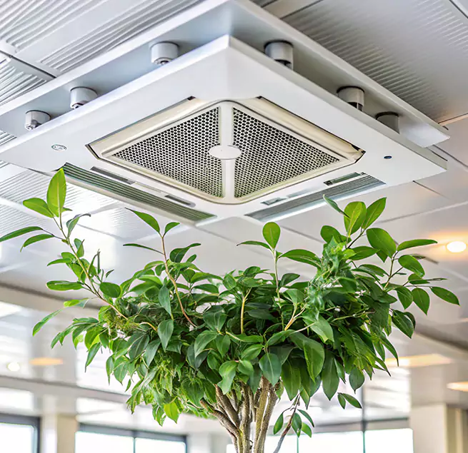 Why Homeowners & Businesses Trust Us in Carson City, NV