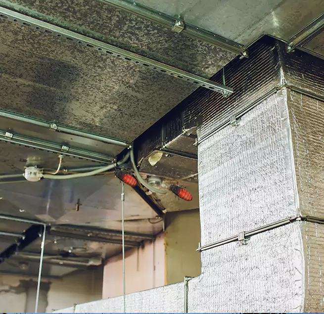 Why Homeowners & Businesses Trust Us Carson City, NV?